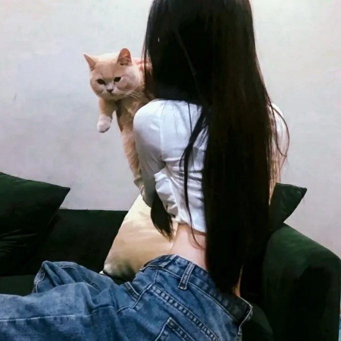 这个美好的世界